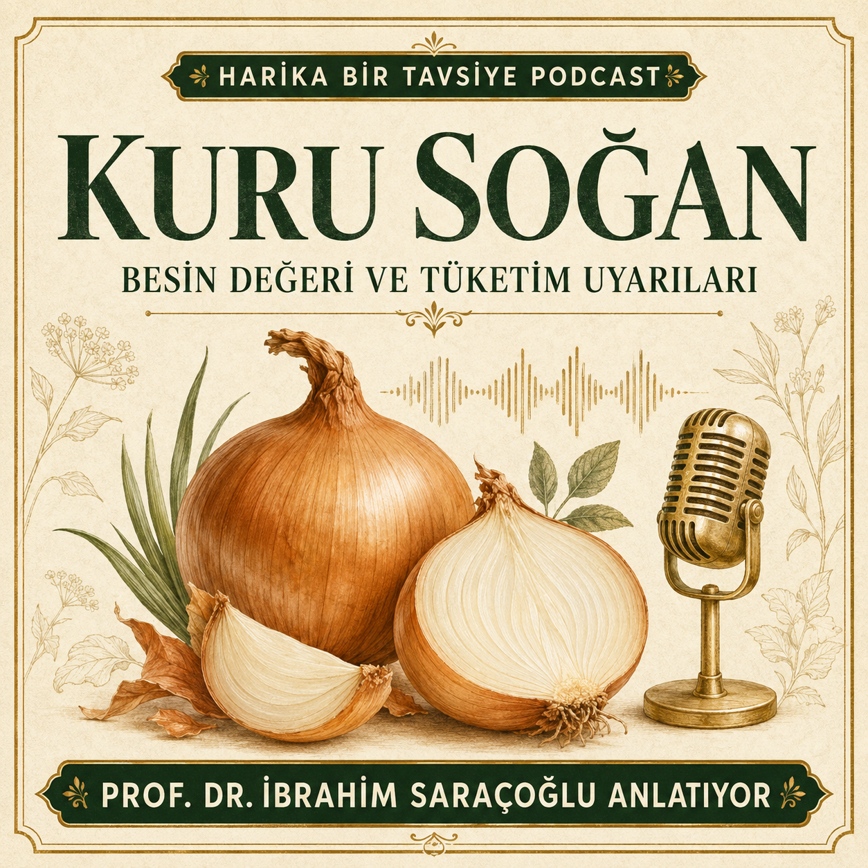 Kuru Soğanın Faydaları: Besin Değeri ve Tüketim Uyarıları kapak görseli