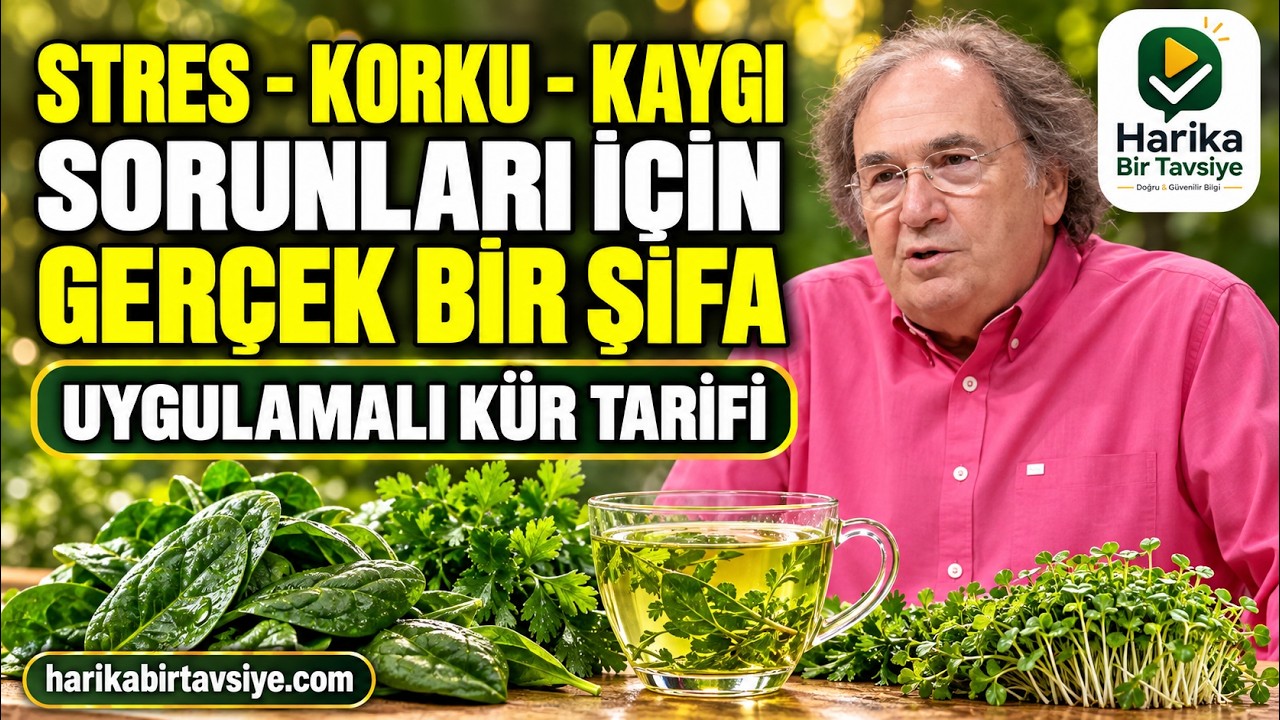 Stres, Korku ve Kaygı: Ispanak–Maydanoz ve Tere Kürü video kapağı