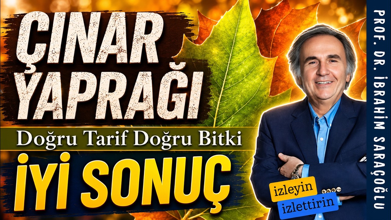 Çınar Yaprağı: Doğru Bitkiyi Tanıma ve Güvenli Kullanım Bilgileri video kapağı