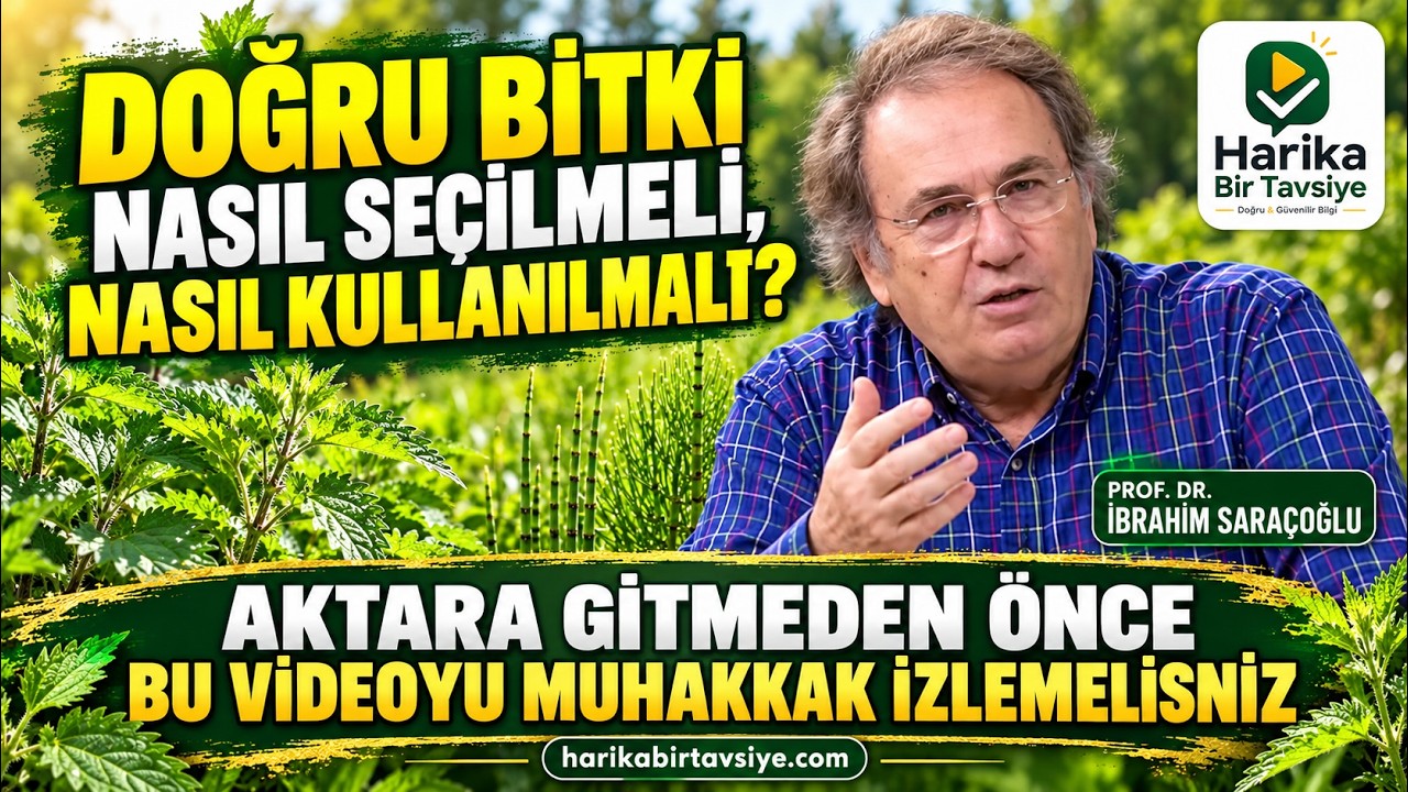 Doğru Bitki Nasıl Seçilmeli? Isırgan ve Kırkkilit video kapağı