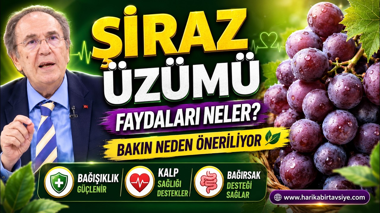 Şiraz Üzümü, Bağırsak ve Kalp Sağlığı İçin Neden Öne Çıkıyor? video kapağı