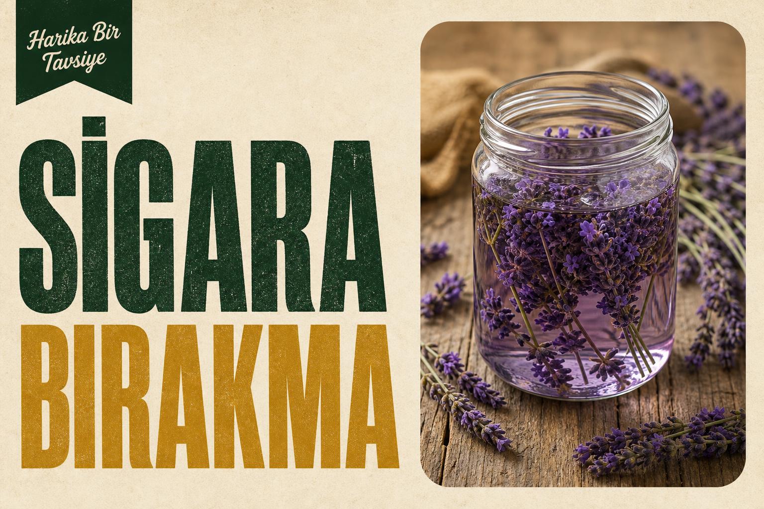 Prof. Dr. İbrahim Saraçoğlu — Sigara Bıraktırma Kürü (Karabaş Otu) — Mor karabaş otu çiçekleri ve cam kavanozda demlenmiş…