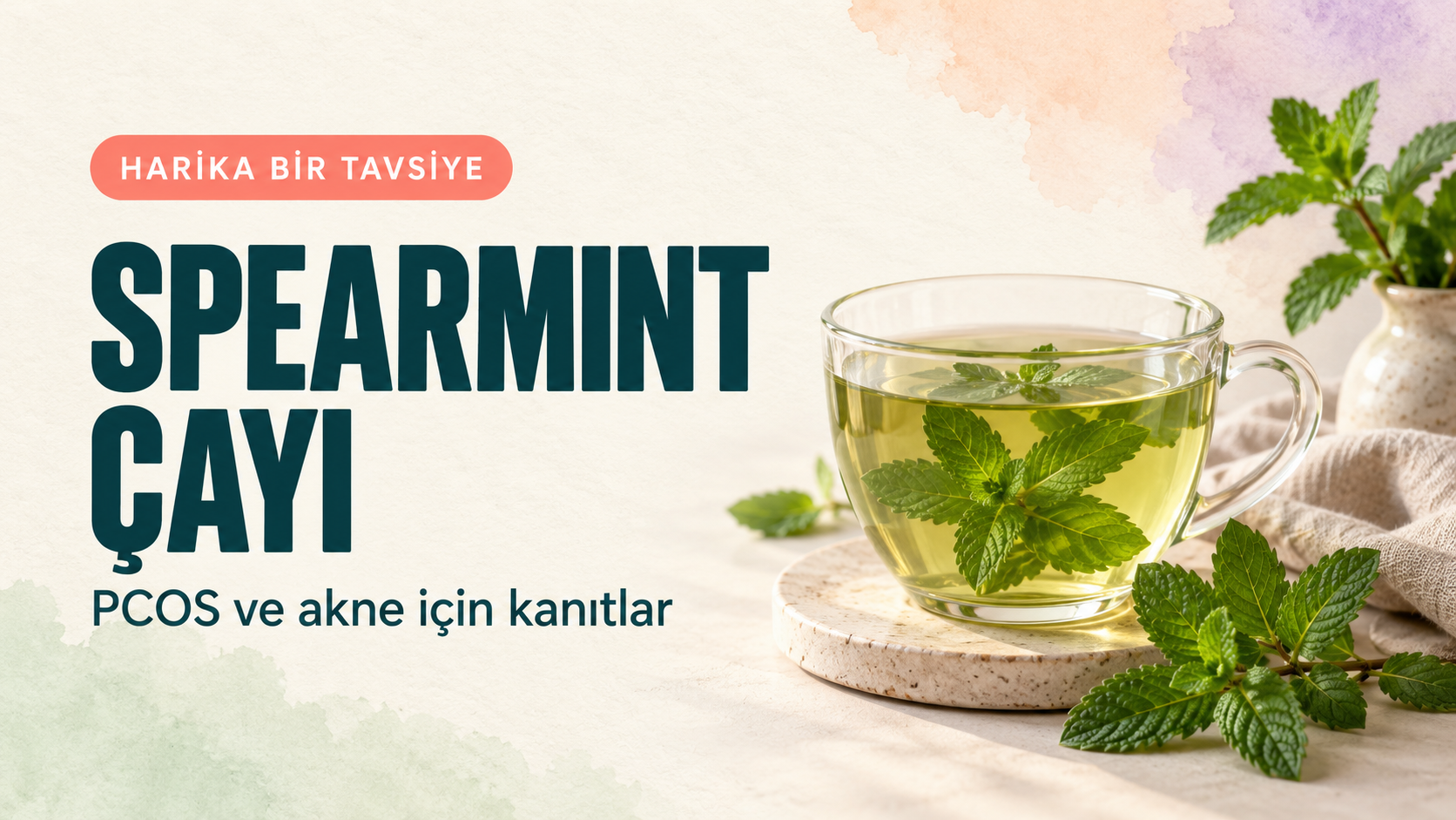 Spearmint Çayı: PCOS ve Hormonal Akne İçin Kanıtlar